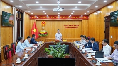 Un consorzio di investitori ha proposto un progetto per la costruzione di una strada costiera nella provincia di Lam Dong, del valore di quasi 9.500 miliardi di dong vietnamiti.