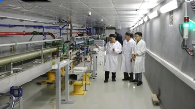 La ricerca di base è il fondamento della capacità tecnologica nazionale.