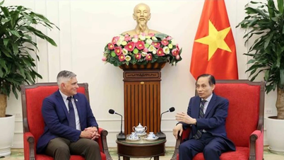 Il ministro degli Esteri Le Hoai Trung ha espresso il suo punto di vista al deputato statunitense.