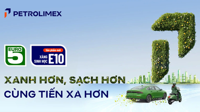 Il carburante bioetanolo E10 sarà disponibile presso tutte le stazioni di servizio Petrolimex a partire dal 25 maggio 2026.