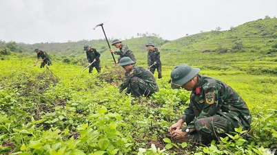 ຮັກສາສີຂຽວໄວ້ໃນພື້ນທີ່ຝຶກຊ້ອມ ແລະ ບໍລິເວນຊາຍແດນ.