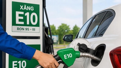 Aucun impact négatif sur les moteurs n'a été constaté pour l'essence E10.