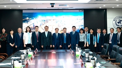 Il viceministro Tran Van Thuan lavora presso la Commissione sanitaria e medica della città di Chongqing, in Cina.