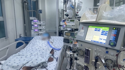 Ho Chi Minh şehrinde yağmur mevsimi yaklaşırken, doktorlar dang humması salgınları riskine karşı uyarıda bulunuyor.