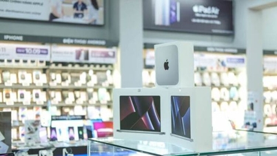 Dove acquistare un Mac mini M4 affidabile e di alta qualità con un'ampia gamma di specifiche?