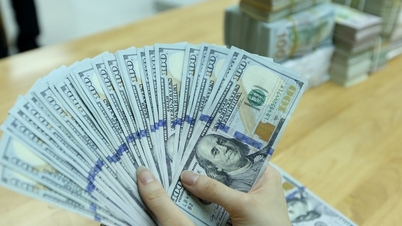 Tasso di cambio del dollaro USA oggi, 27 maggio 2026: in rialzo, in linea con l'euro.