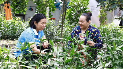 Thường xuyên kiểm tra, giám sát, hướng dẫn hội viên phát huy hiệu quả nguồn vốn vay