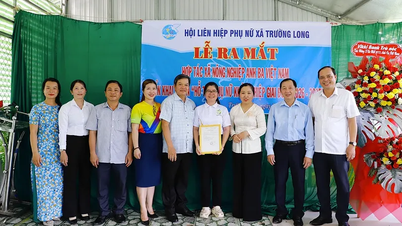 Il comune di Truong Long lancia una cooperativa agricola.