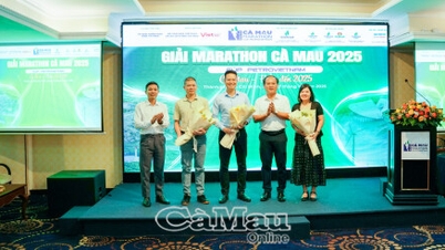 Conferenza stampa per la Maratona di Ca Mau 2025 - Coppa PETROVIETNAM