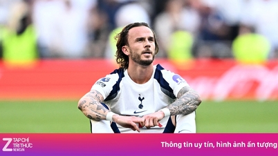 Tottenham đang trả giá vì chính sân nhà quá 'xịn'