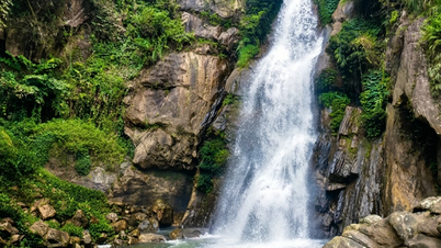 Sfruttare il potenziale dell'ecoturismo a Quy Mong
