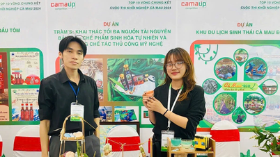 Gli studenti della regione di Ca Mau portano i loro progetti di ricerca scientifica a ottenere riconoscimenti internazionali.