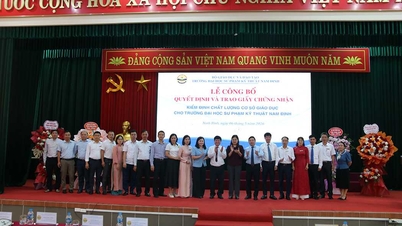 La cerimonia di annuncio e consegna del Certificato di Standard di Qualità Didattica rappresenta un'importante pietra miliare nel percorso di sviluppo dell'Università di Tecnologia e Istruzione Nam Dinh.