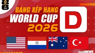 2026 Dünya Kupası D Grubu son puan durumu