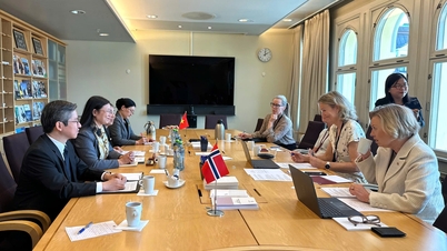 Una delegazione dell'Accademia delle donne vietnamite ha collaborato con la Commissione per la famiglia e la cultura del Parlamento norvegese.