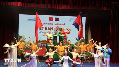 Promuovere e diffondere la bellezza della cultura vietnamita nella terra dei templi e delle pagode.