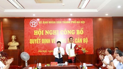 Il signor Le Thanh Nam è stato nominato direttore del Dipartimento dell'Agricoltura e dell'Ambiente di Hanoi.
