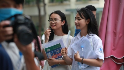 Las respuestas más precisas para el examen de ingreso de Literatura de décimo grado de 2026 en Dong Thap.