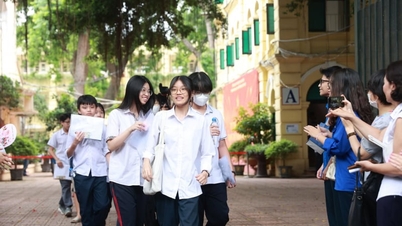 Le risposte più rapide per l'esame di ammissione alla classe decima di Letteratura della Thai Nguyen del 2026.