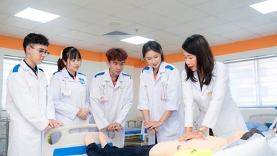 Et annet universitet i Ho Chi Minh-byen vil tilby medisinsk utdanning, med oppstart i 2026.