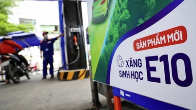 Benzina E10 prima della scadenza: gli esperti evidenziano il problema del "3 in 1" in un contesto di crescente pressione pubblica.