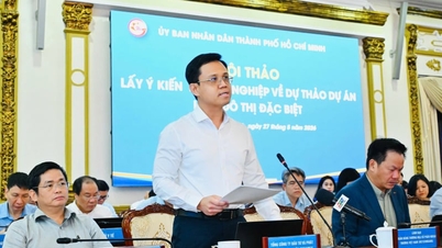 Proposta per la creazione di una zona franca per l'innovazione di livello internazionale a Ho Chi Minh City.
