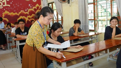Domande e risposte per l'esame di ammissione alla decima classe (equivalente alla seconda superiore) presso la scuola Thai Nguyen nel 2026.