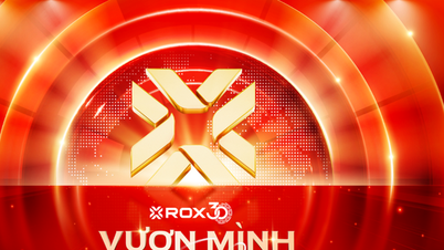 Questi passi alimentano il percorso di ROX Group verso traguardi sempre più ambiziosi.