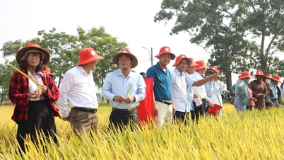 Promuovere lo sviluppo delle assicurazioni agricole: diventare "amici degli agricoltori".