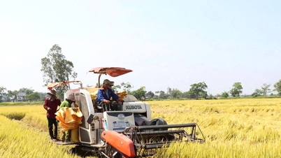 Promuovere lo sviluppo delle assicurazioni agricole: non è ancora abbastanza attraente.