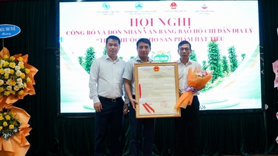 Da Nang: Il pepe di Tien Phuoc ottiene il certificato di protezione dell'indicazione geografica.