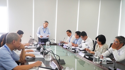 Accettazione del progetto di ricerca "Modello per la gestione dei nuovi villaggi rurali nella città di Da Nang"