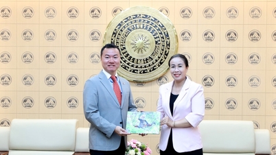 I partner giapponesi sono interessati a sviluppare servizi per il surf a Da Nang.