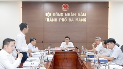 Revisione delle problematiche urbane da presentare alla sessione specialistica del Consiglio popolare della città di Da Nang.