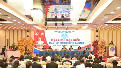 L'avvocato Tran Tuan Loi è stato eletto presidente dell'Ordine degli avvocati della città di Da Nang.