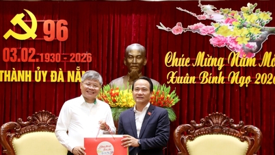 Il Gruppo dell'Industria della Gomma del Vietnam ha fatto visita al Comitato del Partito e al Comitato Popolare della città di Da Nang per porgere i suoi auguri di Capodanno.