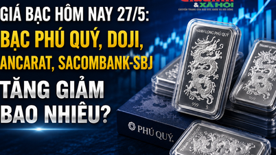 Ceny srebra dzisiaj, 27 maja: O ile wzrosły lub spadły ceny srebra na giełdach Phu Quy, Doji, Ancarat i Sacombank-SBJ?