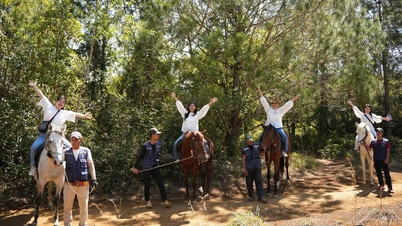 Em Mang Den, faça um passeio a cavalo pela floresta de pinheiros e admire a vasta paisagem selvagem.