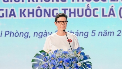 L'OMS riconosce gli sforzi compiuti dal Vietnam nel controllo dei prodotti del tabacco di nuova generazione.