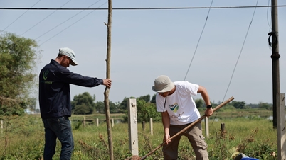Piantumazione di alberi per abbellire il paesaggio nel comune di Duy Nghia.