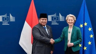 L'UE intrattiene un'ampia cooperazione economica nella regione Asia-Pacifico.