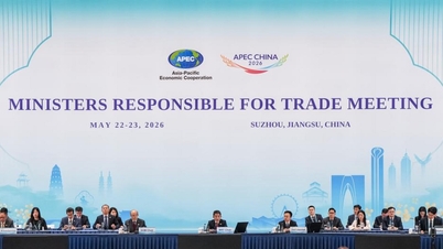 L'APEC promuove l'integrazione regionale.