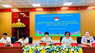 Gli elettori del distretto di Kim Lien hanno sollevato diverse questioni riguardanti l'ordine urbano.
