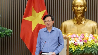 Il vice primo ministro Ho Quoc Dung: Bisogna affrontare con decisione la situazione della "compravendita" dei codici di assegnazione delle aree di coltivazione.