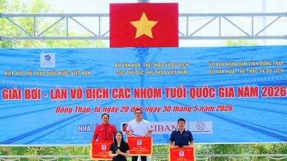La squadra di nuoto di Da Nang continua la sua tendenza positiva.