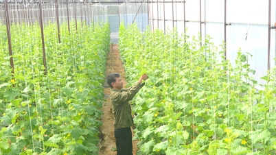 Il "momento d'oro" per pianificare la produzione agricola concentrata.