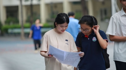 Đáp án môn Toán vào lớp 10 năm 2026 Tuyên Quang đầy đủ nhất