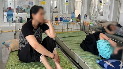 Gia Lai: 39 persone sospettate di intossicazione alimentare dopo aver mangiato del pane.