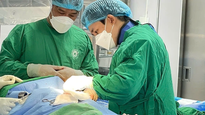 L'ospedale generale provinciale centrale di Gia Lai potenzia la sua capacità di effettuare trattamenti di cardiologia interventistica.