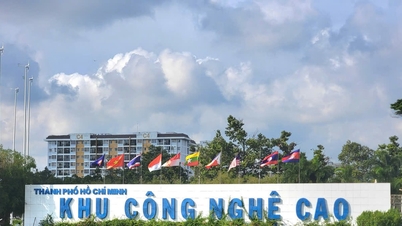 TP. Hồ Chí Minh: Triển khai chương trình phát triển công nghiệp vi mạch tại Khu Công nghệ cao